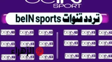 ضبط تردد beIN Sports 1 لمتابعة مباريات دوري أبطال أوروبا 2026 ونخبة الأندية